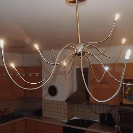 Lovely * ティラナ